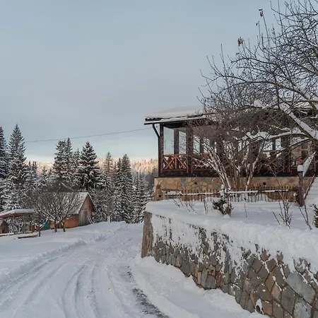 Guest house 