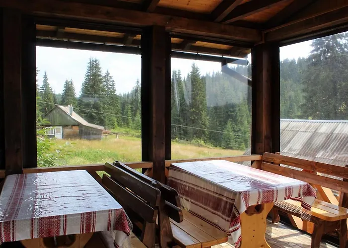 Guest house 